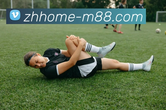 M88官网APP 封面图